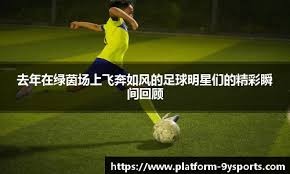 凯尔特人本赛季已经9次击败胜率50%以上的球队，联盟最多